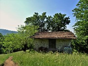Anello ‘Madunina del Giong’- Prati Parini da Botta di Sedrina-21magg22- FOTOGALLERY